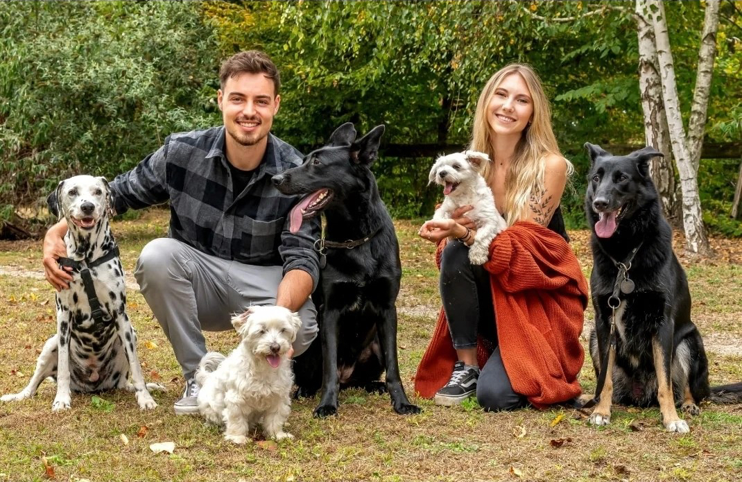 Foto Hundebetreuung Website